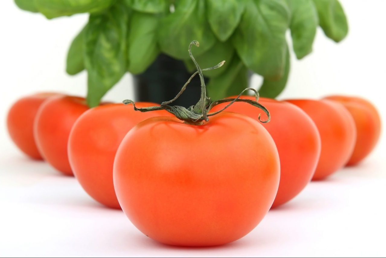 Заготовка томатов